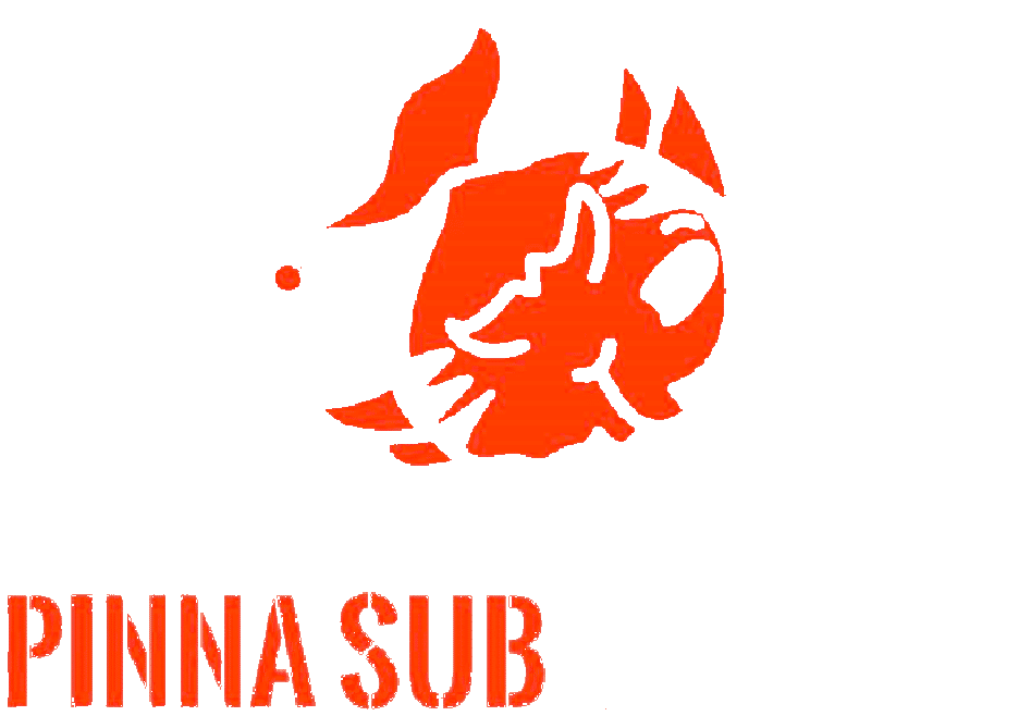 A.S.D. Pinna Sub | San Vito al Tagliamento (PN)
